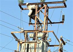 Elektrik borusuna sıkıştı