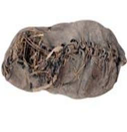 Ayakkabıyı 5500 yıl dışkı korudu