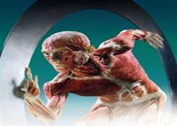 Bu vücutlar İstanbul'u ürpertecek