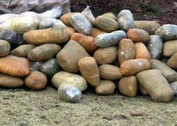 Muğla'da 1 kg. esrar ele geçirildi