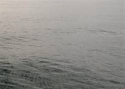Marmara denizinin rengi endişelendirdi