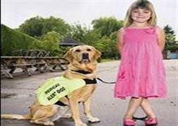 Sahibini dört kez kurtardı