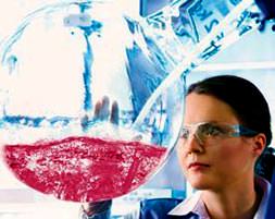 ’Neden bizden de bir Bill Gates çıkmasın’