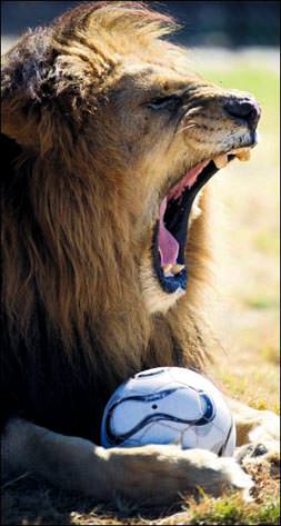 Dünya kupası'na özel burger