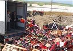 350 ton domates çöpe döküldü