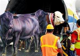 Et fiyatıyla oynayan akbabalara geçit yok