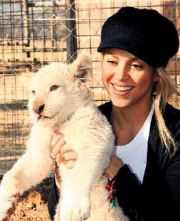 Aslan yürekli Shakira