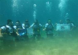 Yunuslar için Saros Körfezi'ne daldılar