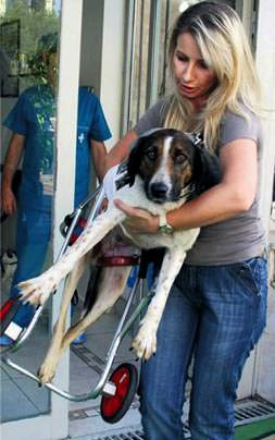 Hayatını ona adadı