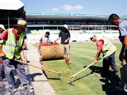 Atatürk Stadı artık yemyeşil