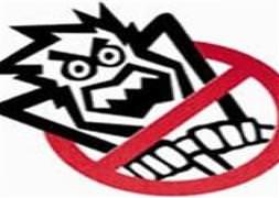 Yunuslara otomobil çarptı