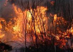 Çanakkale'de yangın