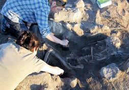 4 bin yıllık ameliyat