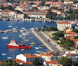 Güzel sesli yaratıklar ülkesi