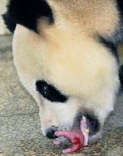 Hoş geldin bebeğim!