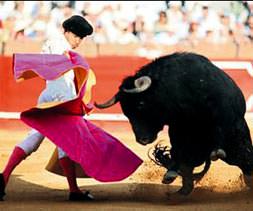 Boğa güreşi yasaklandı