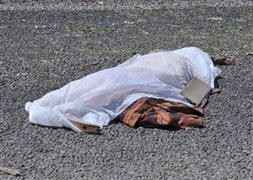 15 kişiyi öldürüp otoyola attılar