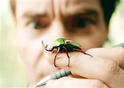 Amerika'yı istila ettiler