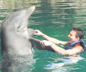 Afrika stresini böyle atıyor