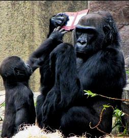 Uslu dur yoksa oyun yok!