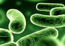 Yeni kabus can aldı