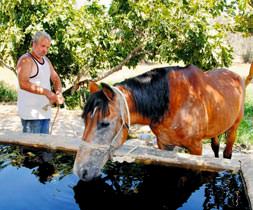 Tecavüzcü Coşkun satılık