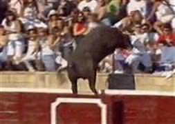 Boğa seyircilerin arasına daldı!