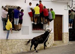 Boğanın yaraladığı insan sayısı 40'a çıktı