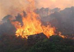 Orman yangını kontrol altında