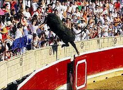 Matador out seyirciler in