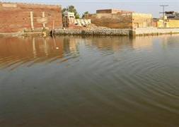 Pakistan'da otobüs sele kapıldı: 20 ölü