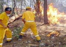 Kaş’ta orman yangını