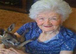 Alzheimer'ın sırrı bu protein!