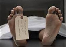 Bir çiftlikte 72 ceset bulundu