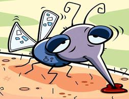 Nil Ateşi salgını