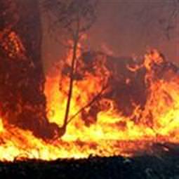 Antalya’da orman yangını