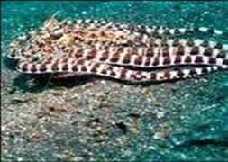 Bilimadamlarını şaşırtıyor