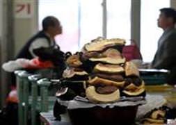 Okul kantininde balina eti satılıyor