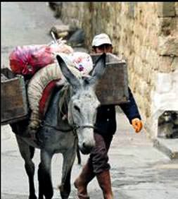 Mardin'in sokakları merkeplere emanet
