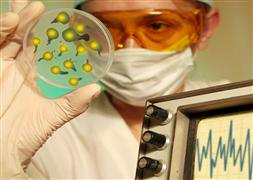 Öldüren virüs Türkiye'de