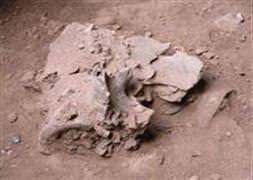 4 bin yıllık insan kalıntısı