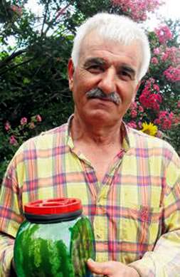 Kavanozda karpuz yetiştirdi