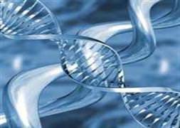 Otizmde X kromozomun sırrı