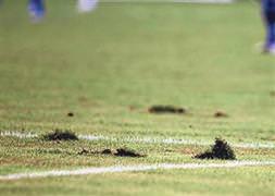 Fener, Ali Sami Yen'de oynayabilir