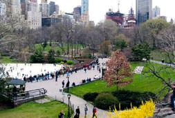 New York tiryakiye uymaz