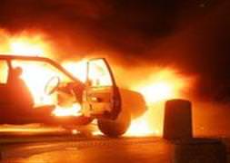 Son anda kurtuldular