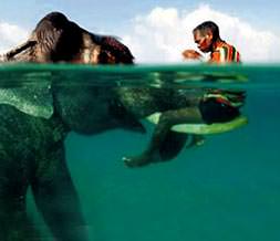 Deniz ulaşımında son nokta!