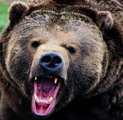 ’Vur’ emriyle aranıyor