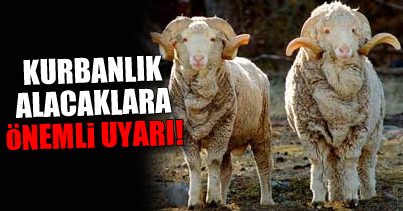 İkinci el araba fiyatına koç