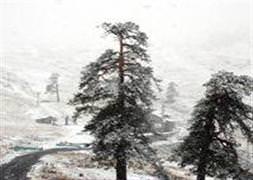 Kartalkaya'da kar sevinci